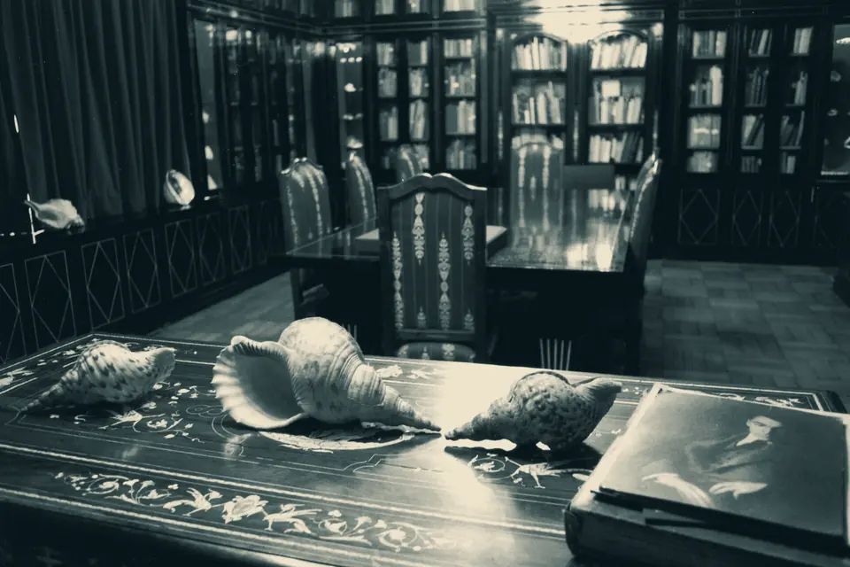 Caracolas de la colección de Neruda sobre una mesa de madera